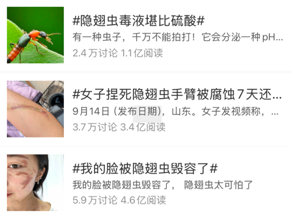 Someone was 'disfigured' by this! This insect is very active recently. Do not swat it if you encounter it.