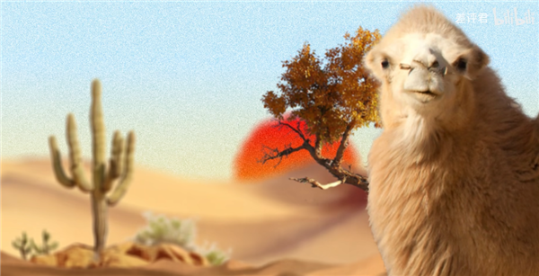 47 Years of Desertification Control in China: It's Not About Eliminating Deserts