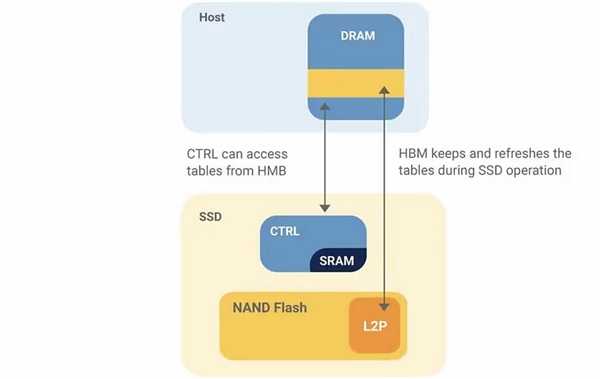 Can You Buy Cache-less SSDs with HMB? Understand it Instantly After Reading