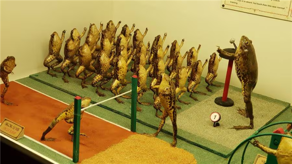 欧洲最怪博物馆：507只青蛙标本摆出人类姿势