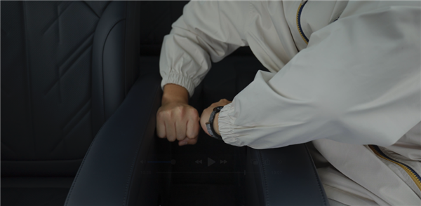 售价不到十分之一：极氪这台“库里南”味正吗