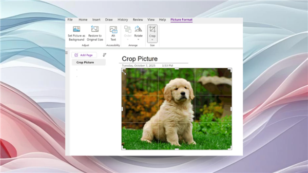 Users Long-Awaited! Microsoft OneNote Finally Gets Image Cropping Feature