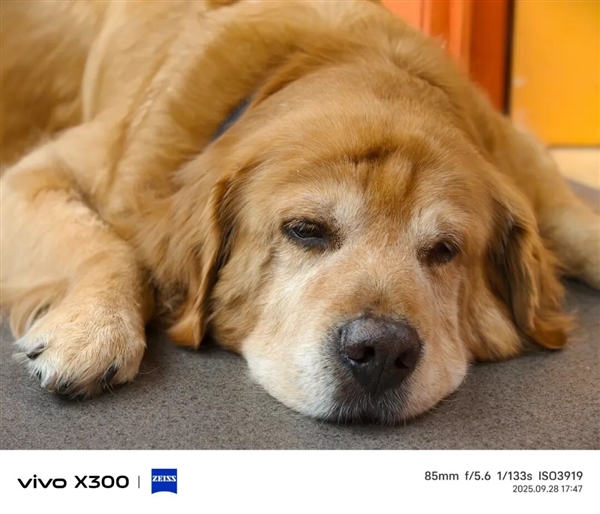 Can the vivo X300， starting at 4399 yuan， be the strongest standard version phone this year?