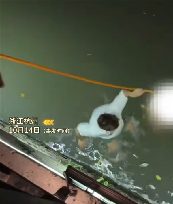 男子将救人视频发短视频平台遭被救女子举报：因“侵犯肖像权”