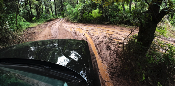 售价不到十分之一：极氪这台“库里南”味正吗