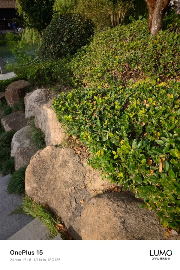 OnePlus 15 at 3999 Yuan Seems Willing to Be a Sub-brand