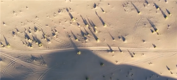 47 Years of Desertification Control in China: It's Not About Eliminating Deserts