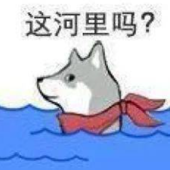 Chinese Consumers Propel LFP Batteries to Dominance in Just Three Years