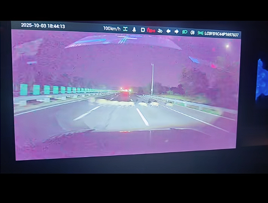 Driver traveling at 105 km/h collides with wild boars crossing highway， resulting in 5 deaths