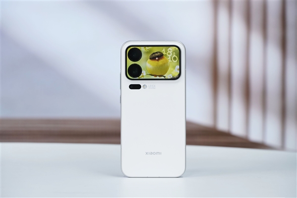 Xiaomi 17 Boosts Sales for Phone Case and Screen Protector Sellers; Vendor Expresses Gratitude