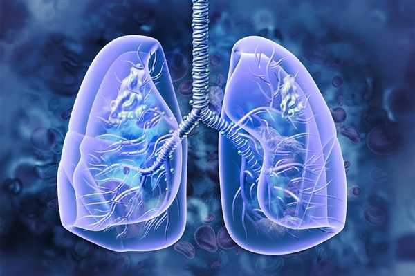 Autumn and Winter Respiratory Illnesses Peak: Doctors Recommend