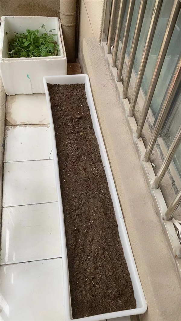 女子花几十块买猪食槽收纳孩子玩具：不照常理出牌更好用！