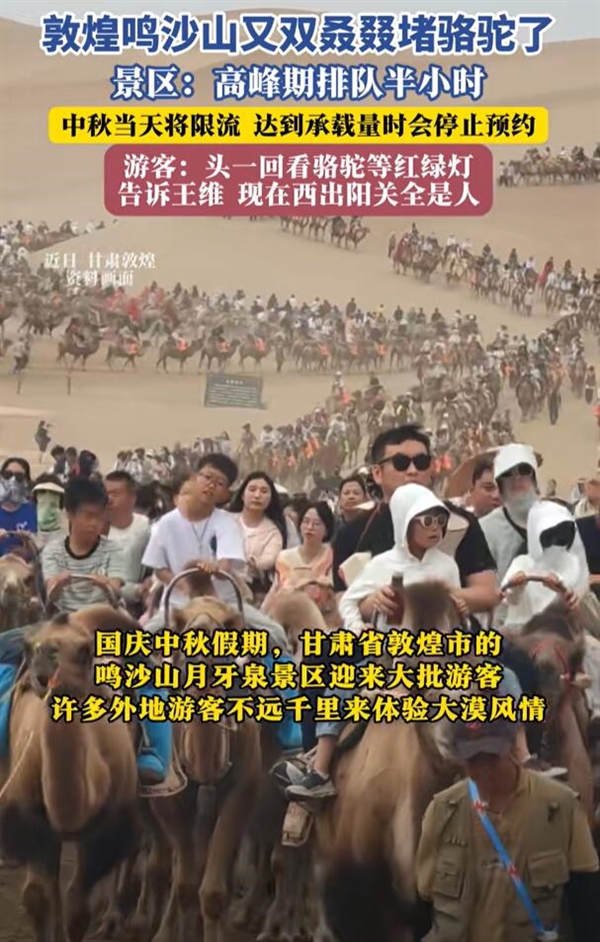 甘肃敦煌上演“堵骆驼” 网友：告诉王维 西出阳关全是人
