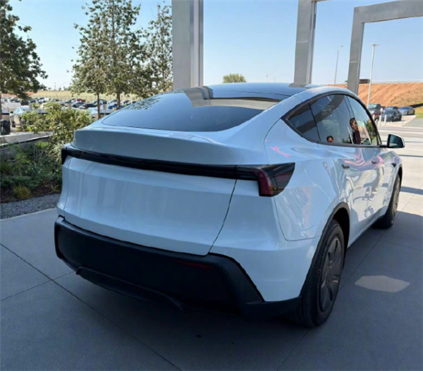 Extremely Rare! Budget Tesla Model Y Rear Cup Holder Real Shot Netizens: Truly the Lowest of the Low