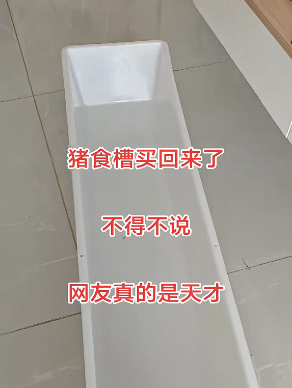 女子花几十块买猪食槽收纳孩子玩具：不照常理出牌更好用！
