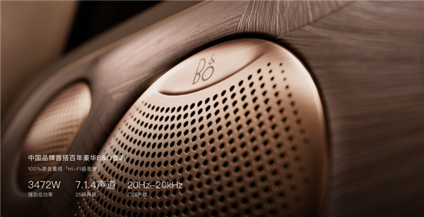 智己 LS9 B&O 低音单元