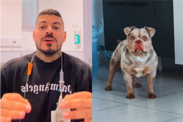 睡梦中被爱犬咬掉一根脚趾！男子选择原谅：称是一场意外
