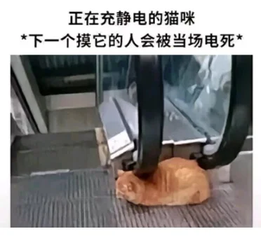 聚酯纤维的“塌房”之路
