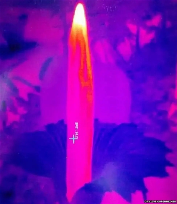 世界上为数不多的恒温植物：温度可达40℃让臭气飘更远！