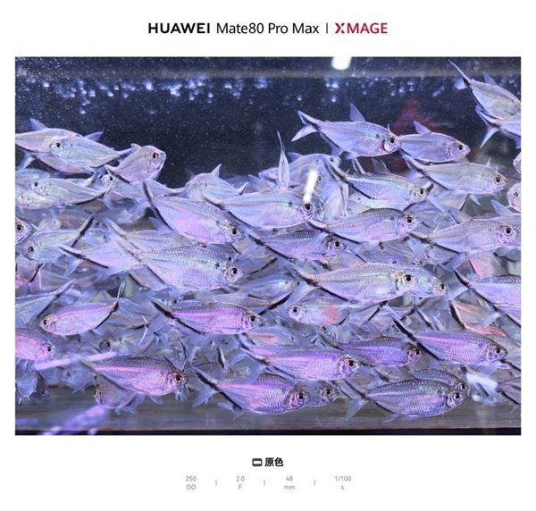 华为Mate80 Pro Max用了一周 这几个亮点真的戳中我了