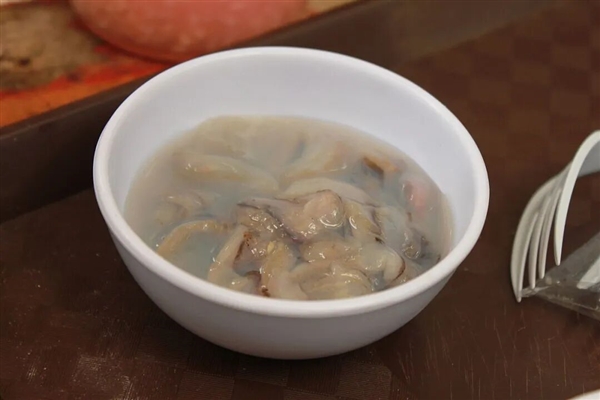 船蛆：地球上最独特的动物群体之一