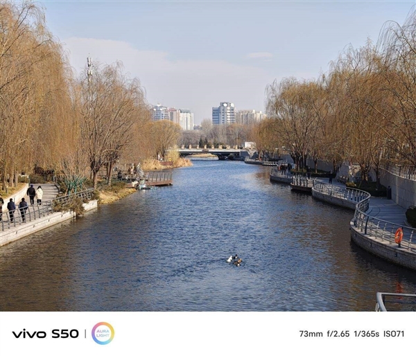 谁说标准版就得妥协 vivo S50全面上手体验