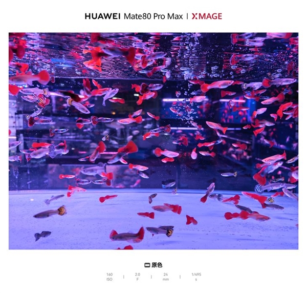 华为Mate80 Pro Max用了一周 这几个亮点真的戳中我了