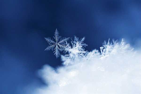 今年下雪为啥不撒融雪剂了 专家回应