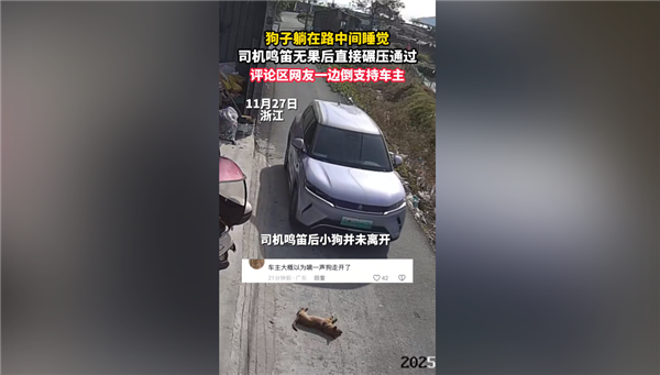 狗在路中间睡觉司机鸣笛无效后辗压 网友吵翻：到底要负责吗