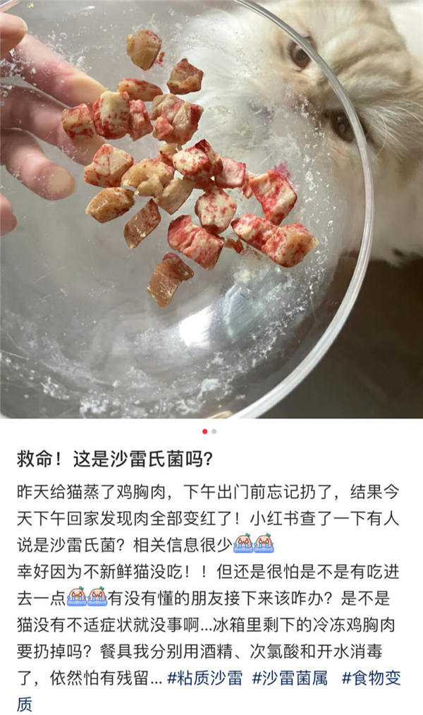 食品与细菌