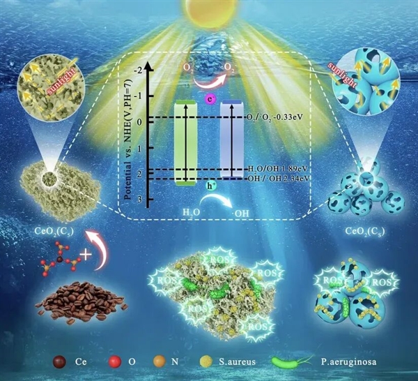 海洋生物在船底安家带来巨大损失!直到有人想到这个办法