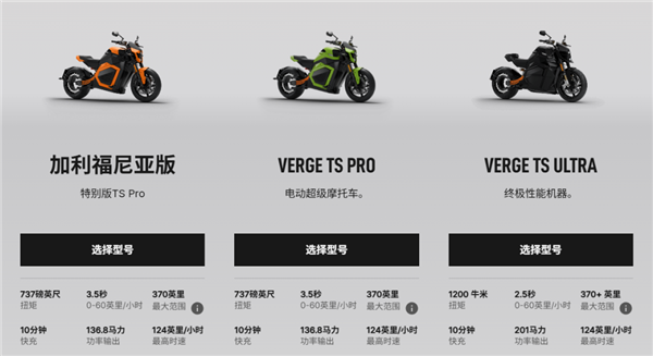 Verge TS Pro