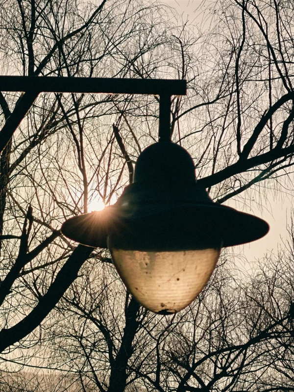 代表安卓出战 荣耀抢了iPhone Air的风头