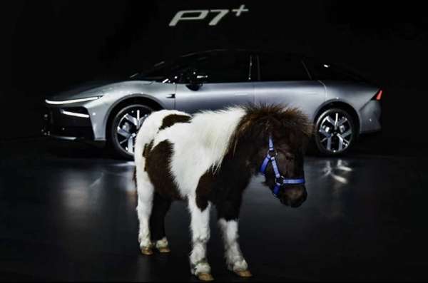 小鹏新年首场发布会用魔术开场：2026款P7+后备箱能塞下一匹马