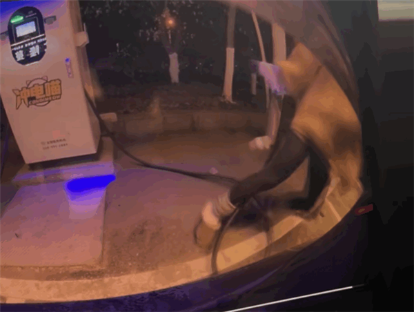 沈阳一女车主给电车充电 结果被充电线缆“打了一顿”