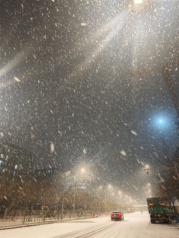 北京多区雪花已到货 网友：北京的雪下得很认真