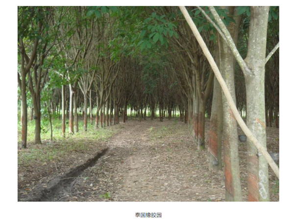 当AI学会看山看海：坤元大模型如何重新定义地球观测