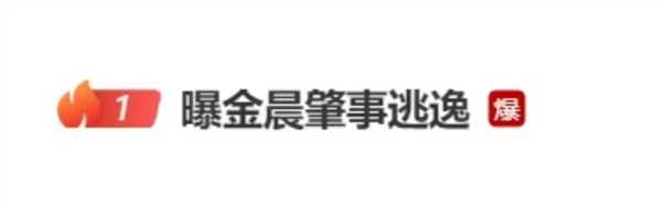 金晨被曝肇事逃逸：当地村民称撞了墙
