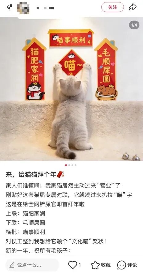 看懵了！这届年轻人的春节 路子相当野