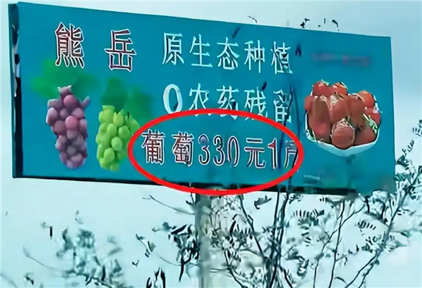 葡萄330元1斤、草莓360元1斤让辽宁本地网友惊叹：公司回应属实 用牛奶和有机肥种植
