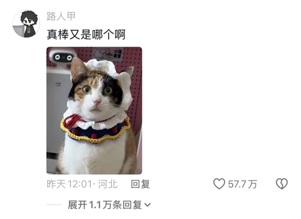 人猫交流的千年难题 现在1块钱就解决了?