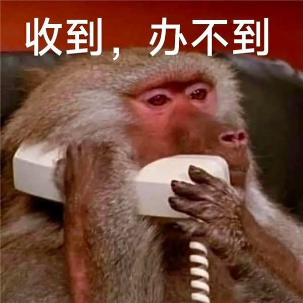 人猫交流的千年难题 现在1块钱就解决了?