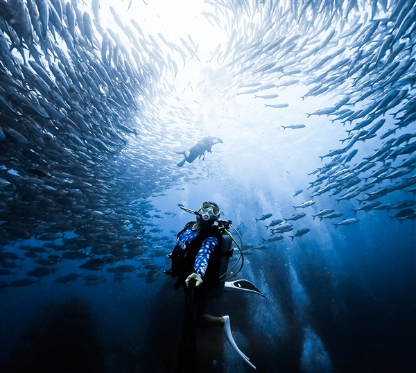 GoPro发布新款处理器