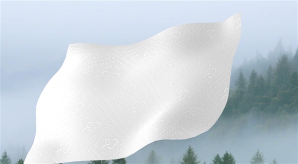 厨房纸能否直接接触食物？查看执行标准是关键