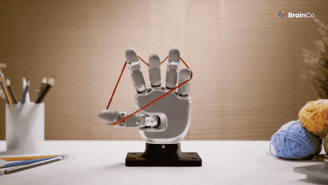 </think>

超越人手！中国首家脑机接口独角兽拟为机器人配备仿生手 – AI快讯网