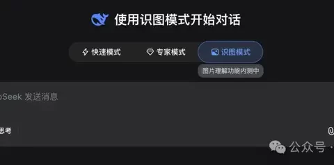 DeepSeek识图模式新模型实测，我被灰度到了