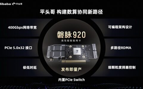 平头哥推出国内首款智能网卡磐脉920，400Gbps带宽领跑业界