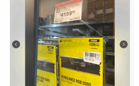 美国 128GB DDR5 内存天价曝光，网友惊呼：这价格够买一台电脑