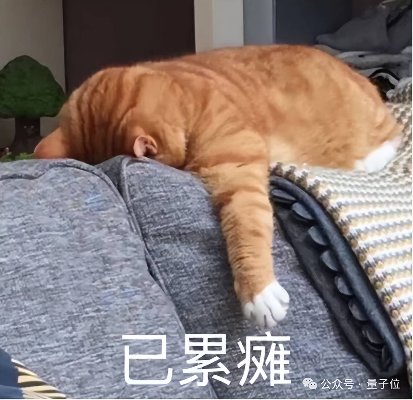 机器狗挑战英伟达算力王座
