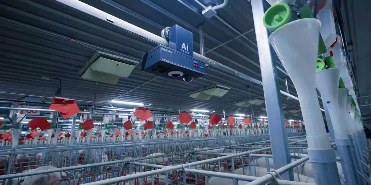 AI“翻译”养殖经验，智慧养猪提质增效——讯飞和光科技以大模型为传统产业升级注入新动能